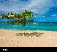 Image result for Magazine Beach Grenada