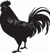 Image result for Australorp Chicken Clip Art