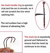 Image result for Worm Hook Rig