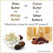 Image result for Cocoa Butter vs Shea Butter