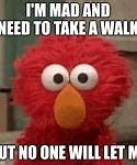 Image result for Angry Elmo Meme