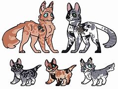 Image result for Goblin Cat Breed