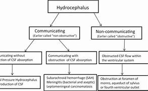 Image result for Hydrocephalus