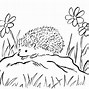 Image result for Hedgehog Drawing