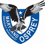 Image result for Osprey Airline Logo