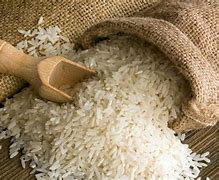 Image result for Rice Page Background