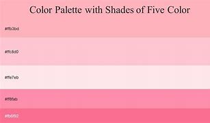 Image result for Blush Pink Pattern