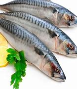 Image result for Chavelha Peixe