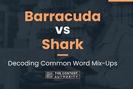 Image result for Barracuda vs Shark