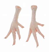 Image result for Chicken Feet Bones