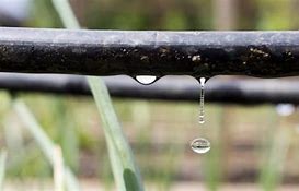 Image result for Drip Irrigation Septic System