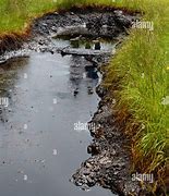 Image result for Natural Oil From Ground