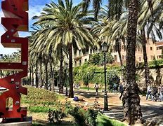 Image result for Palma Mallorca