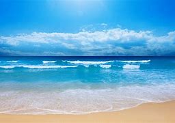 Image result for Sea Desktop