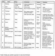 Image result for Spinal Nerves List