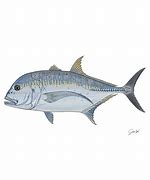 Image result for GT Fish Silhuette