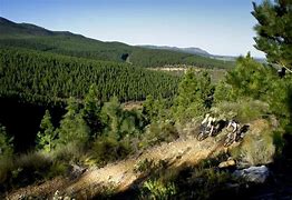 Image result for Tarryn Jeftha MTB