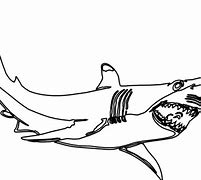 Image result for Shark with Headphones Black and White