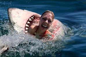 Image result for Shark Eating Gold Medal