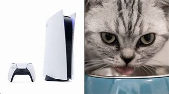 Image result for Cat Game PS5