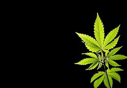 Image result for Weed Backgrounds For Laptop