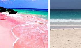 Image result for Pink Sand Beaches in Bahamas