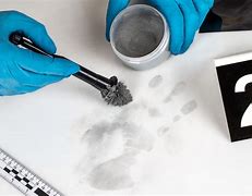 Image result for Forensics Crime Scene Fingerprints