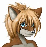 Image result for Furry OS