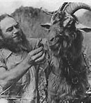 Image result for Georgia Goat Man