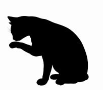 Image result for Black Cat with Shades