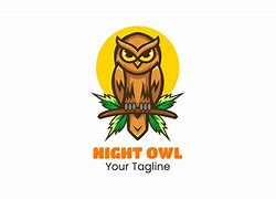 Image result for Night Owl Graphics