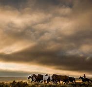 Image result for Western Horse Photography Riding