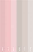 Image result for Blush Pink Pattern