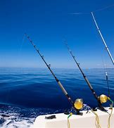 Image result for Fishing Vesyt