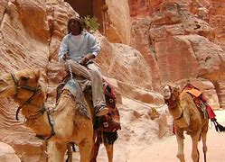 Image result for Petra Aqaba Jordan