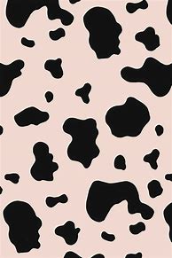 Image result for Cow Print Phone Wallpaper