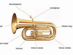 Image result for Tuba Ball