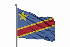 Image result for Congo Official Flag