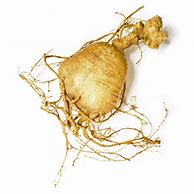 Image result for Ginseng Man Root