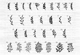 Image result for Leaf Decor SVG