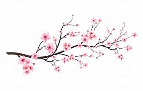 Image result for Cherry Blossom Branch Clip Art