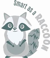 Image result for Smart Raccoon