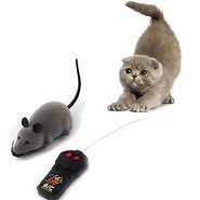 Image result for Cat Toy Mouse Chase