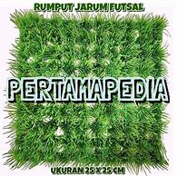 Image result for Rumput Plastik