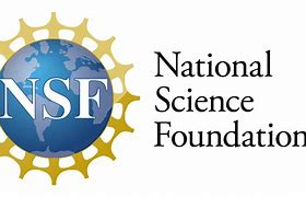 Image result for High Res NSF Logo