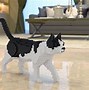 Image result for Lego Cat