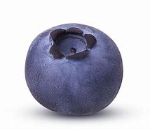 Image result for Blueberry JPEG