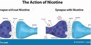 Image result for Nicotine Cartoon