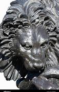 Image result for Lion Face Sculpt