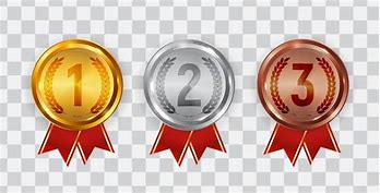 Image result for Bronze Medal Graphics